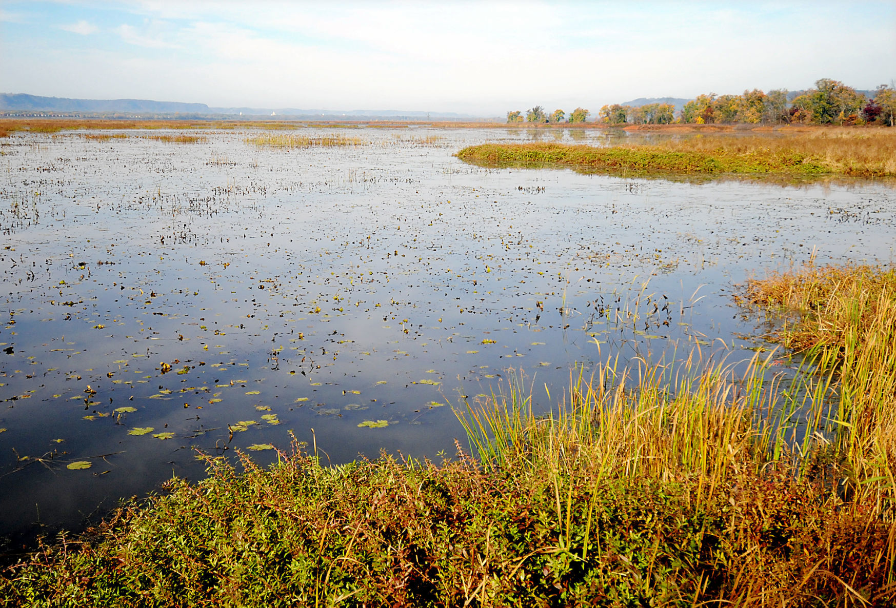 Trempealeau Wetlands